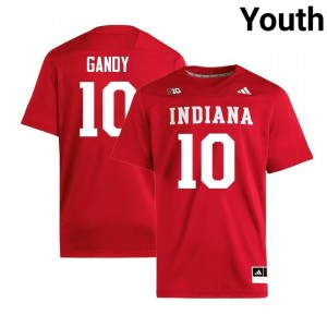 Authentic Ryland Gandy Jersey | #10 Crimson IU Hoosiers Youth Foottball Stitched & Licensed 11433549